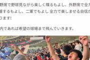 【悲報】野球Youtuber「ヨーロッパで野球観戦するのでクラファンやります」→炎上