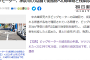 ビッグモーター「街路樹を剪定してもいいか」 川崎市「どうぞ」 → 根元から切断　川崎市「程度を超えているだろ」