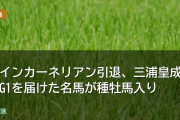 ウインカーネリアン引退、三浦皇成にG1を届けた名馬が種牡馬入り