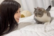 【悲報】もちまるの下僕、猫を餌に美女を部屋に連れ込む