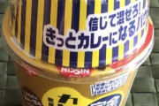 【初体験】完全メシカレーメシ食べるで！→ そのお味は⁉