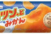 そろそろ最強のアイス決めとくか
