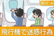 「新鮮な空気を吸いたかった」着陸直後の飛行機の非常ドアを開けた中国人を逮捕
