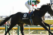 【競馬予想】[2]第30回青葉賞(GⅡ) /2023