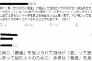 【悲報】ポケカを標的にしたツイフェミさん、あの怪文書を恐ろしい長文で解説