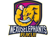 野球独立リーグ、福井ネクサスが今月いっぱいで解散