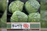 キャベツ高騰！！1個500円！！何の野菜を食べたらいいのか