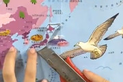 【動画】中国あるある、今日もどこかで反日教育。そして軍隊教育も…