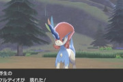 幻のポケモン「ケルディオ」この子辺りから幻のポケモンの幻感薄れていった気がする