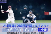 【宝の山】11/8 合同トライアウト参加者一覧