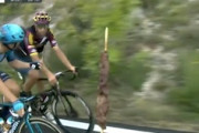 【動画】ジロ・デ・イタリアが自由すぎる。レース中に観客から串焼きをもらって食べる選手ｗｗｗ