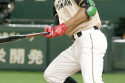 特大ソロの日ハム万波、成長を実感「今までよりボールを長く見られている」