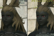 【FF14】7.0グラアプデ問題、”旧グラに戻す”設定が実装されれば丸く収まりそう