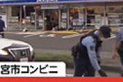 宇都宮市ローソン刺殺事件の衝撃真相・・ シングルマザーを襲った悲劇