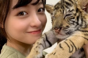 橋本環奈ちゃん、トラ派wwwwww