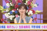 【乃木坂46】生田絵梨花 出演「行列のできる法律相談所」キャプチャまとめ