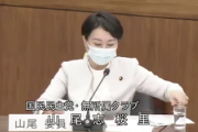 【国民投票法改正】国民民主・山尾氏、古巣立憲民主議員を軽く論破 @憲法審査会（国会動画）