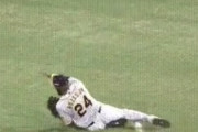【GIF】 阪神ロハスとんでもない守備を見せつけるwwww