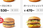 【画像】マクドナルド、限界突破………単品価格５３０円、セット価格は８３０円に………