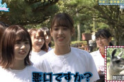 【日向坂46】キャプテンって芸人を愛し、愛されているよな