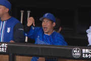 【動画】日ハムさん、とんでもない相手と戦っていた　ハニーズ対策が必要か