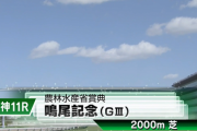 【鳴尾記念】ボッケリーニ＆浜中騎手がｷﾀ━━━━(ﾟ∀ﾟ)━━━━!!