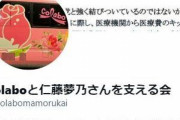『Colaboと仁藤夢乃さんを支える会』メンバーが覚醒剤で逮捕！！元暴力団員で非行少年・少女支援NPOの設立者