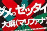 安倍氏「残念ながら大麻というだけで偏見を持たれてしまっている。神事をつかさどる上において麻は必要なもの」