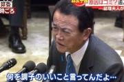 自民・麻生太郎氏、消費税減税論について国民・玉木代表らを名指しで批判「全員、○○の人たちだ」