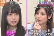 【画像】女子アナ、アイドルを顔面論破ｗｗｗｗｗｗｗｗｗｗ