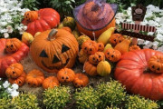 【悲報】ハロウィンの市場規模が縮小