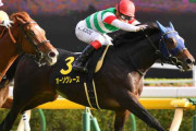 オーソクレース岡山で乗馬