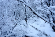 【悲報】ワイくん、釣り場に着くも爆風吹雪で咽び泣く