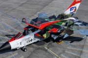 ドイツ空軍、トーネード多用途戦闘機の配備50周年を記念した特別塗装を公開！