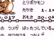 ポケモン命名師「こいつは鳩みたいだからピジョン！おばけみたいなのはゴースト！燃えてるやつはファイアー！w」