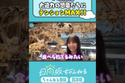 【動画】溢れる恐竜愛🦖💜 #shorts #日向坂46 #日向坂ちゃんねる #小坂菜緒
