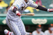 阪神中野拓夢が規定打席に到達　打率２割８分９厘、今季13度目のマルチも