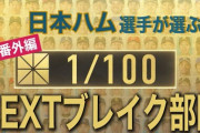 S-PARK12球団NEXTブレイク部門の選出理由一覧