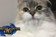 【MHRise】公式ツイッター、ついにやってしまう【モンハンライズ】