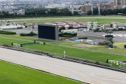東京競馬場コース内に外国馬専用の豪華な厩舎が完成しお披露目！「トレセンより凄い」　JCから使用開始
