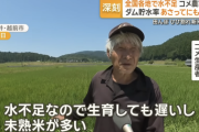 【悲報】農家「水不足で米できません」