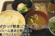 すき家のまぜのっけ朝食(350円)ｗｗｗｗｗｗｗｗｗ