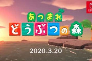 【悲報】あつまれどうぶつの森のカセットフラゲした人がツイートして炎上