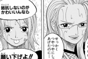 【朗報】ソウル出身の漫画家が描いたワンピースのカリファＶＳナミｗｗｗｗｗｗｗｗｗｗ