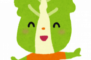 ネット民「白菜を食いすぎるのはヤバい」←野菜やぞｗｗｗ