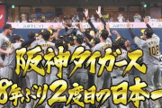 早速12球団最後の日本一スレが立てられる