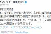 【悲報】田島、壊れる…右円回内筋の損傷で１ー２週間のノースロー調整
