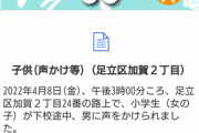 【悲報】シャア・アズナブルさん小学生に結婚しよう等声かけをしてしまう