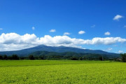 田んぼとか畑、山に囲まれた田舎に住んでる人ってすごいよな