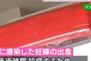 コロナ感染の30代妊婦、搬送先見つからず自宅で早産　赤ちゃん死亡